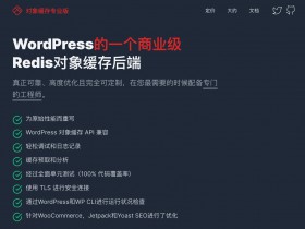  Commercial level object cache optimization WordPress plug-in Redis Object Cache Pro v1.16.3 Professional Chinese version of object cache