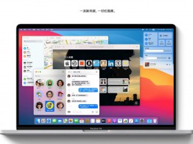  MacOS Big Sur 11.4 original boot image