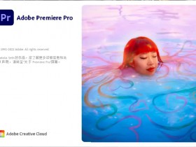  Video editing and processing software Adobe Premiere Pro 2024 v24.10.85 x64 Chinese direct installation active version
